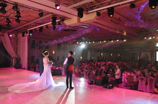 光影定格重要時刻，專業服務成就卓越體驗——一站式商業攝影攝像與禮儀服務