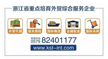 金士敦供應鏈 一站式因私出入境及報關服務解決方案